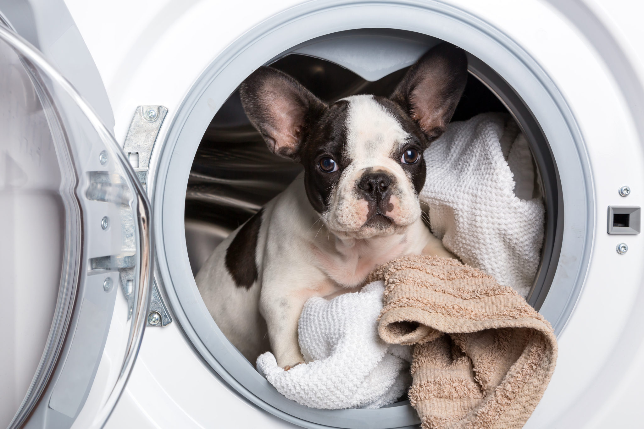 How Veterinary Laundry Service Makes a Difference in Your Practice