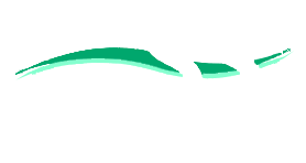 Veterinary System Services Logo