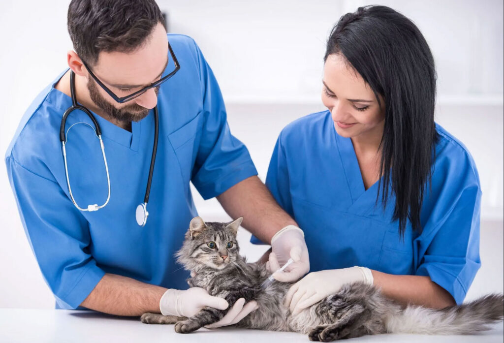 VSS Veterinary Relief Staffing