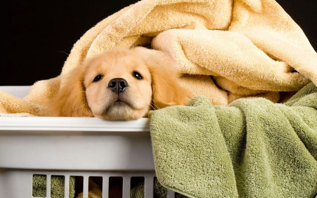 VSS Veterinary Laundry Service